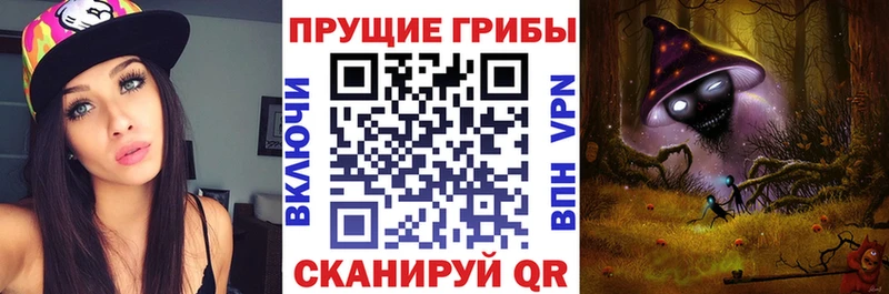 Галлюциногенные грибы ЛСД  купить закладку  Славгород 