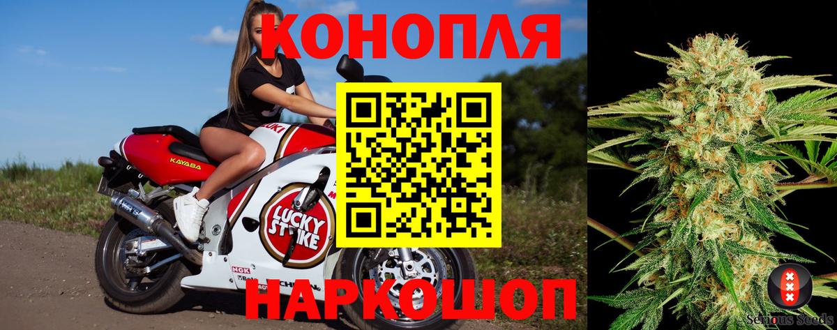 Бошки Шишки LSD WEED  Конопля VHQ  Конопля OG Kush  Славгород  Бошки Шишки планчик  Вход с VPN 